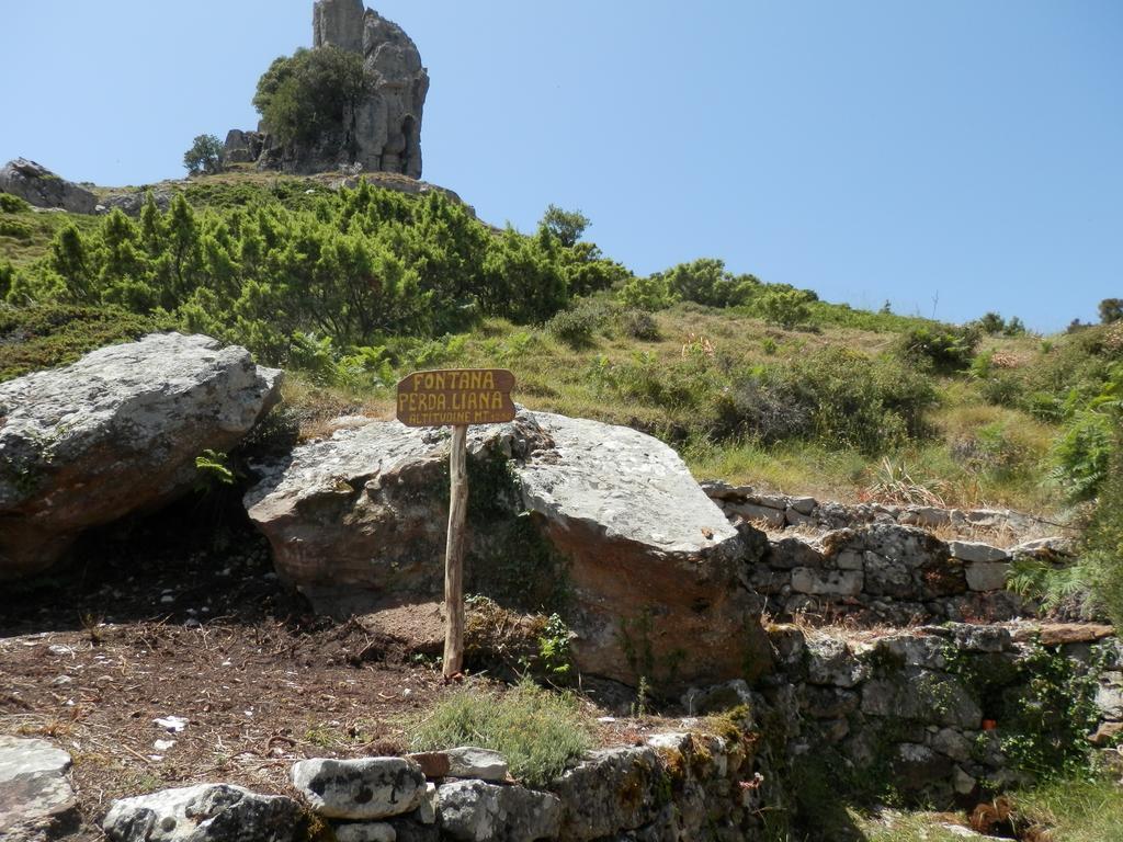 Appartamento Maremontagna Кардеду Екстериор снимка